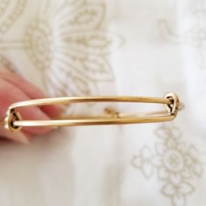 Alex and Ani Brass Bangle